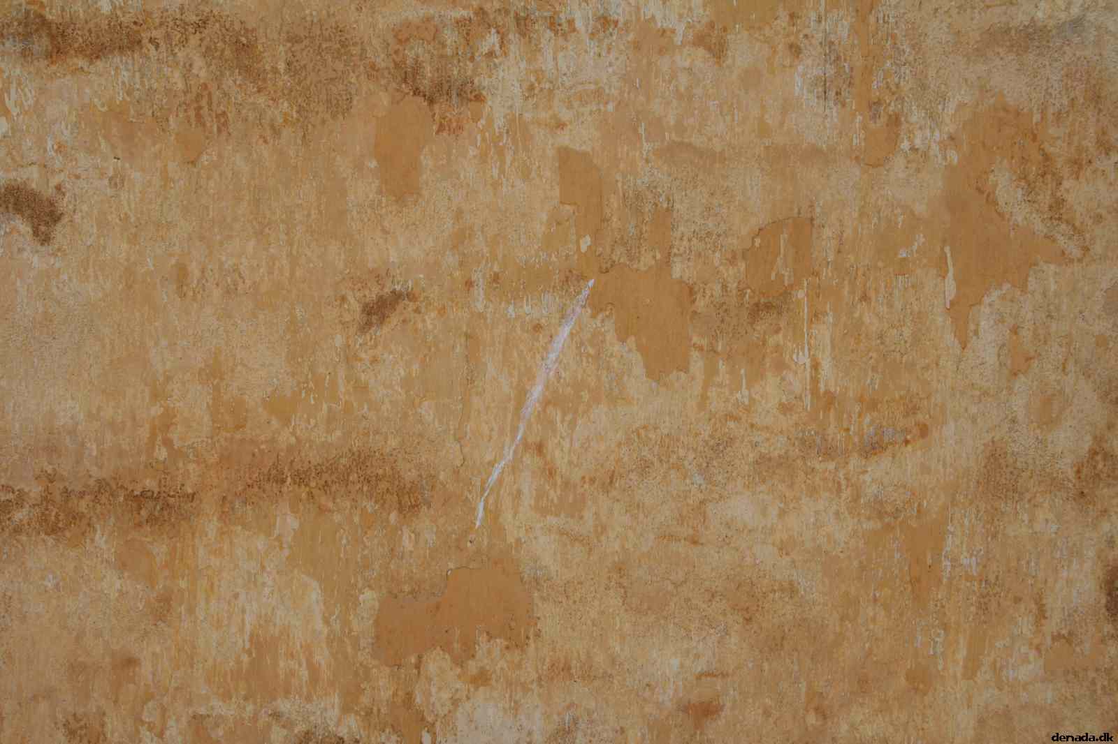 * Image 13