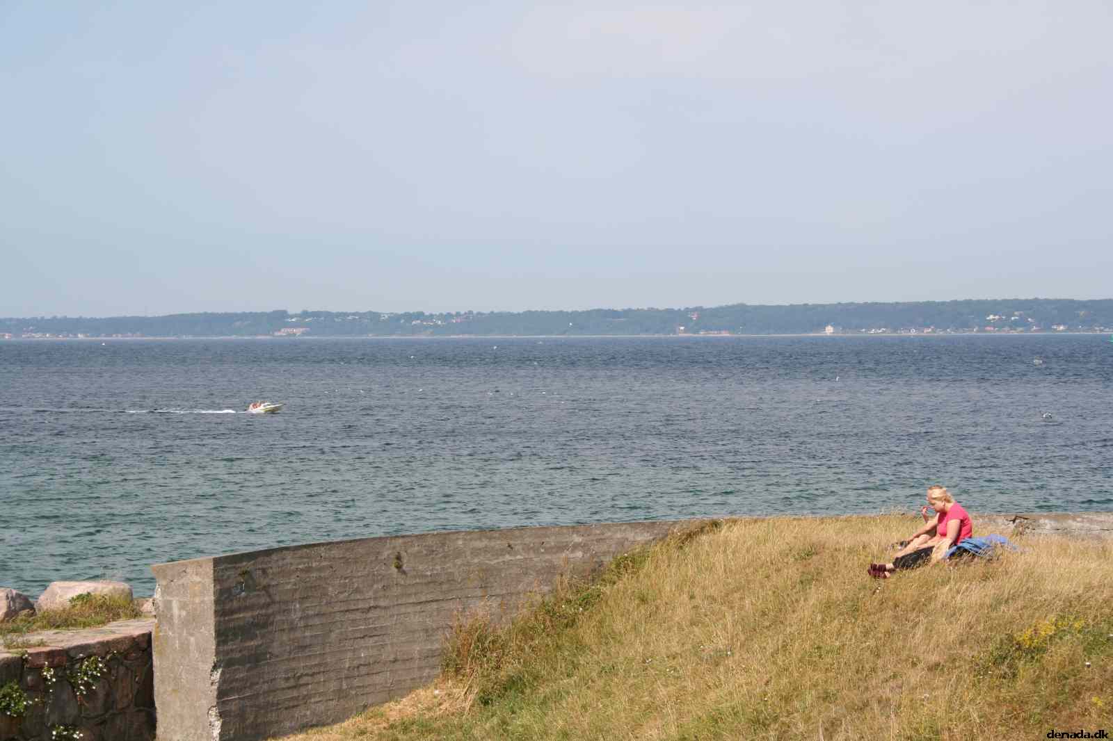 * Image 14