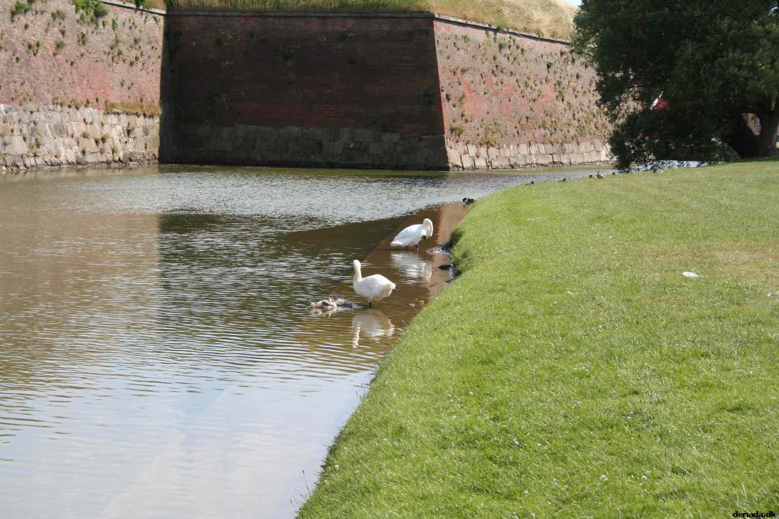* Image 31