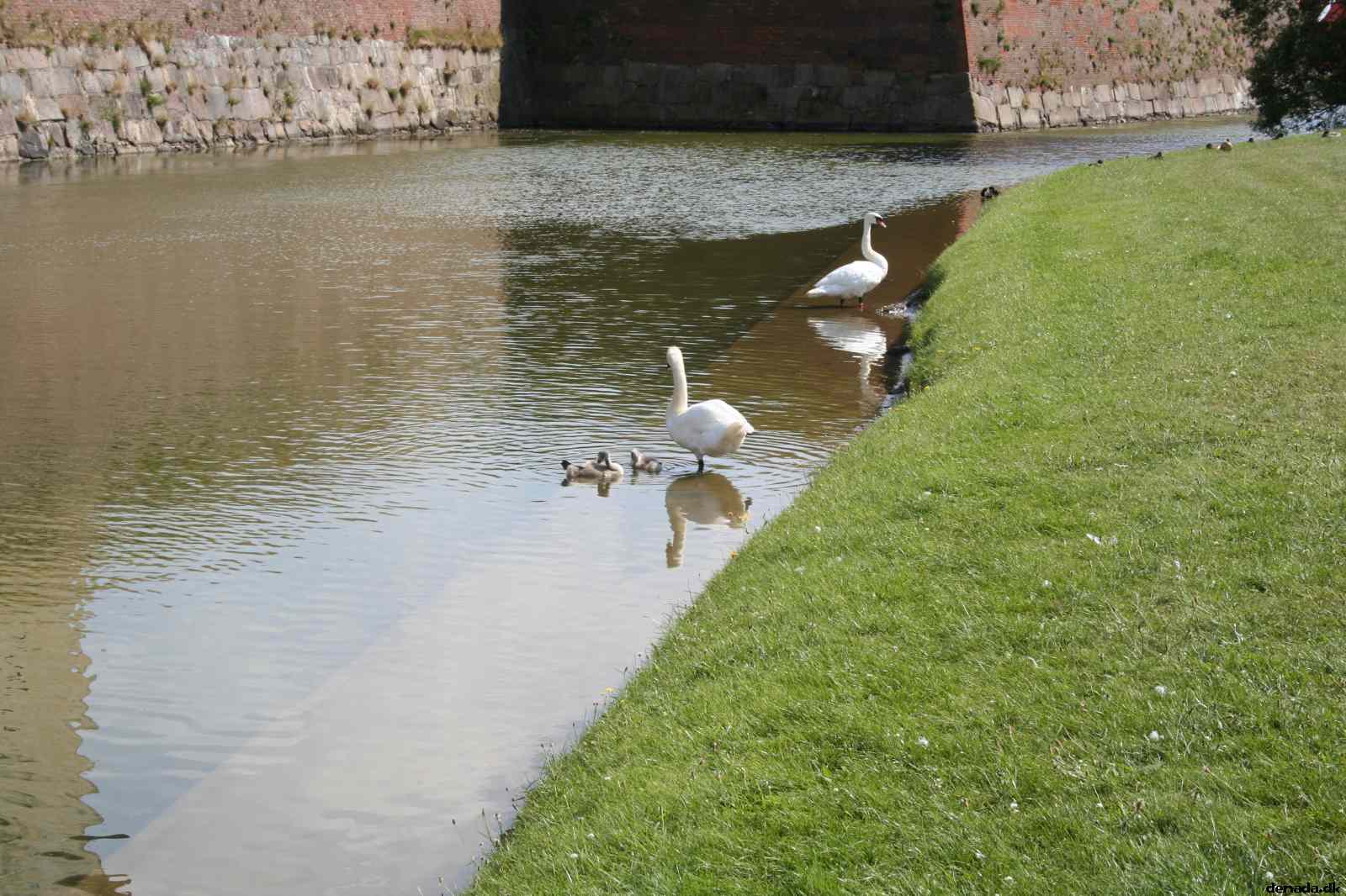 * Image 32