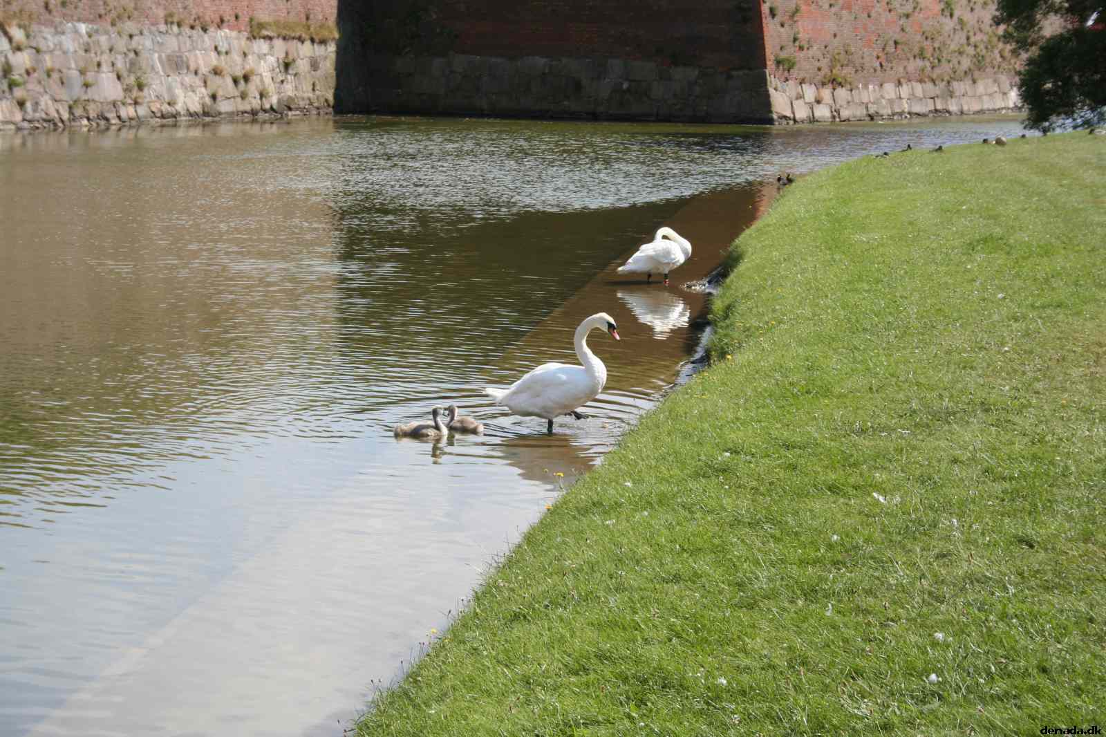 * Image 33
