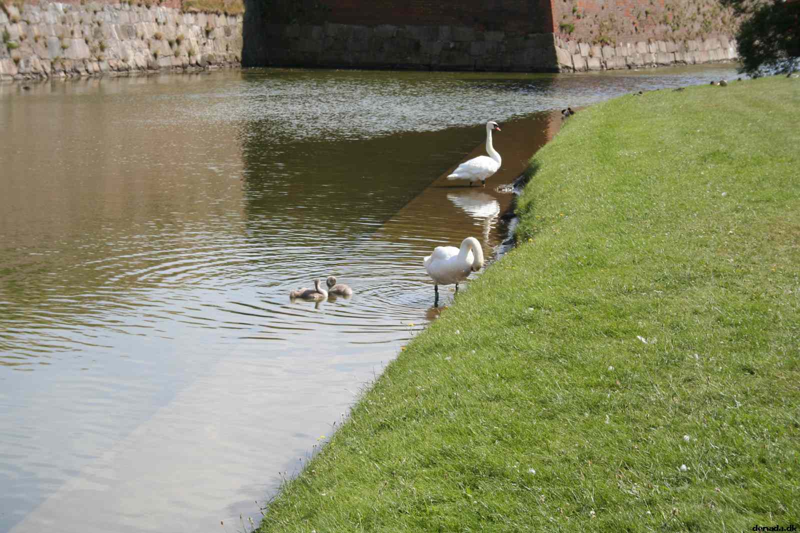 * Image 34