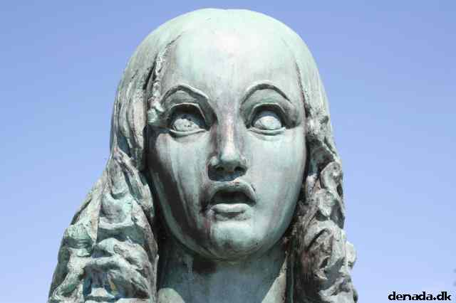 * Image 4
