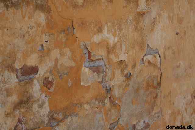 * Image 12