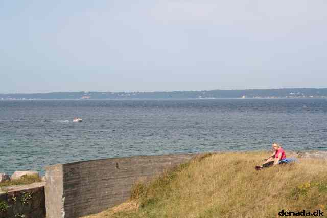* Image 14