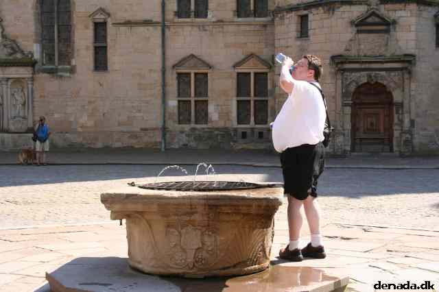 * Image 24