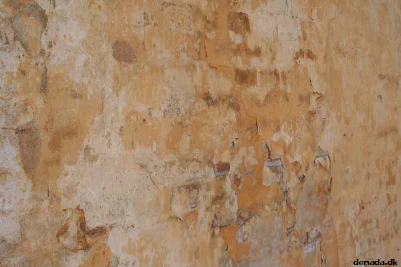 * Image 11