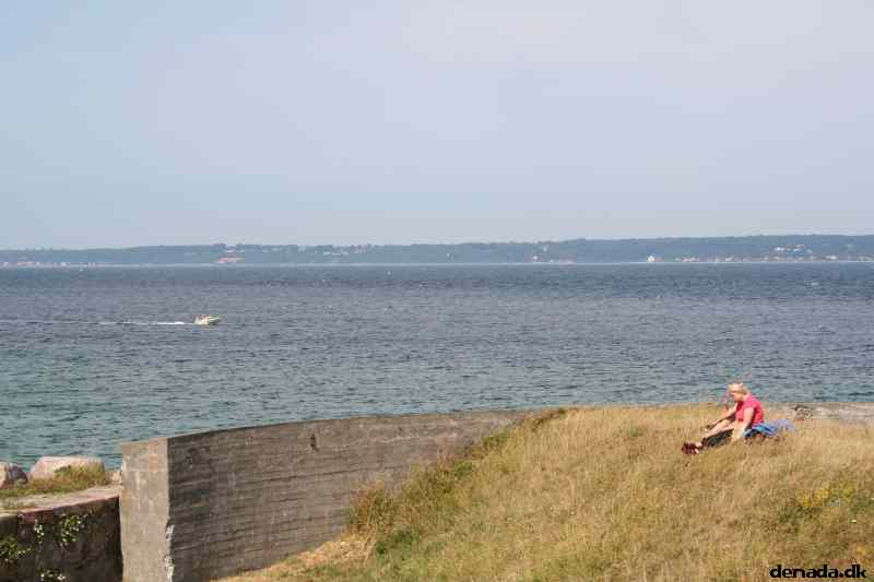 * Image 14