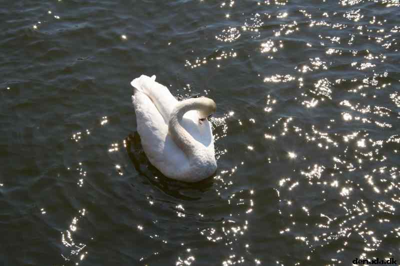 * Image 36