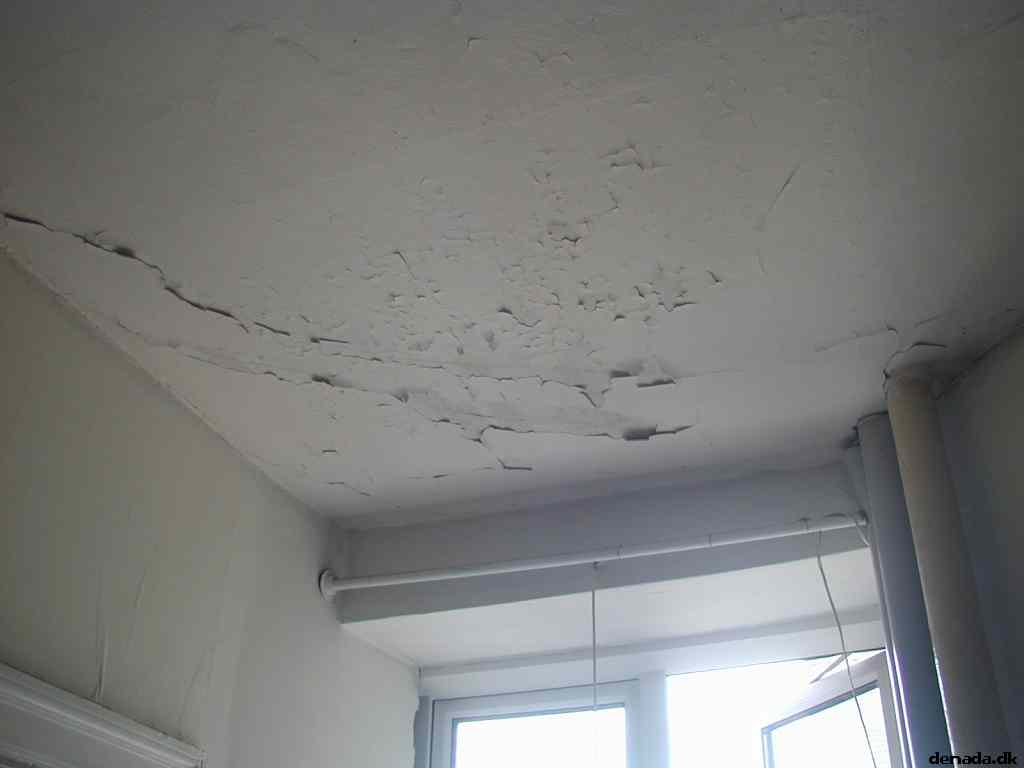 * Image 12