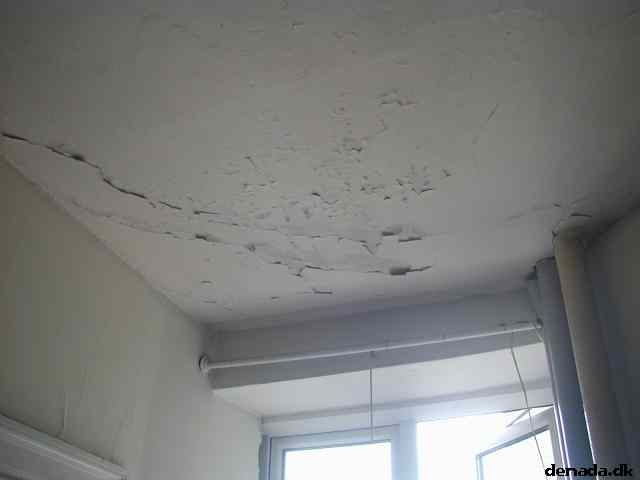 * Image 12