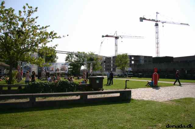 * Image 39