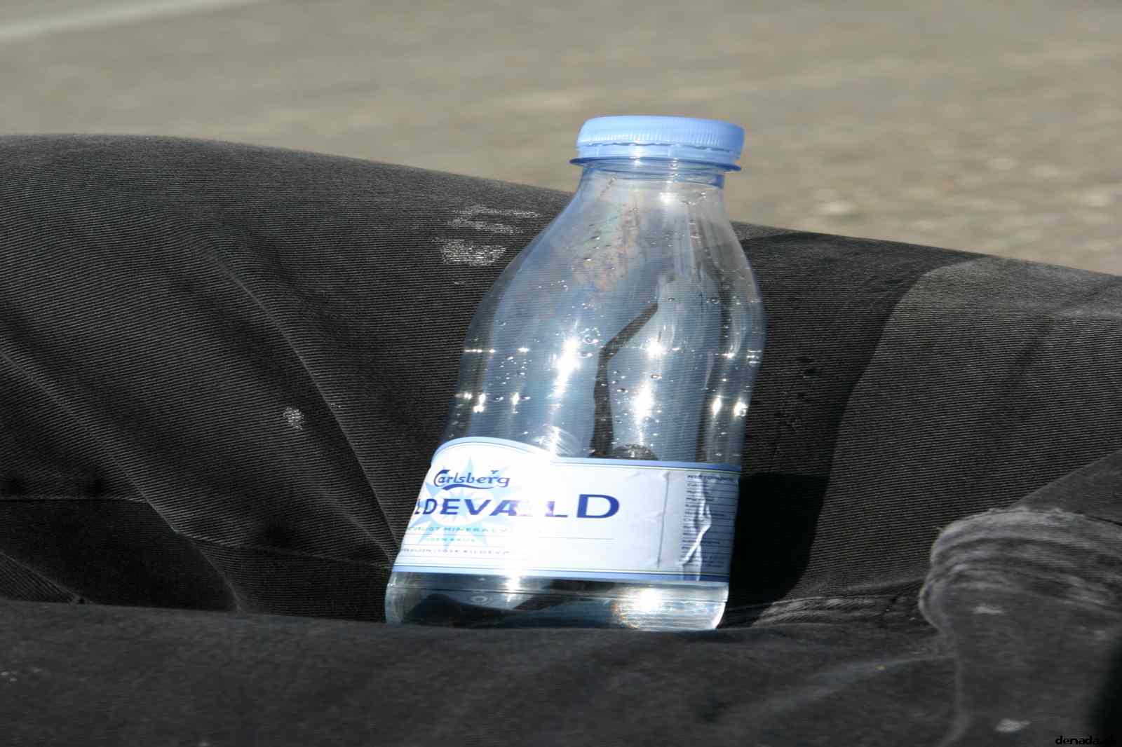 * Image 8