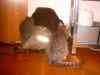 nytaar_05_052.jpg - 2005:11:15 16:28:06