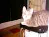 nytaar_05_087.jpg - 2005:11:15 17:14:12