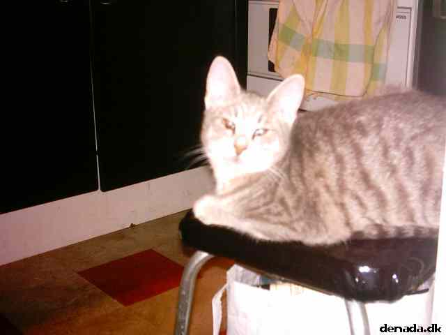 * Image 79