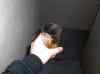 HPIM0254.JPG - 2006:01:28 23:11:41