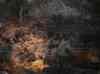 HPIM0347.JPG - 2006:02:02 12:58:34