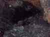 HPIM0348.JPG - 2006:02:02 12:58:41