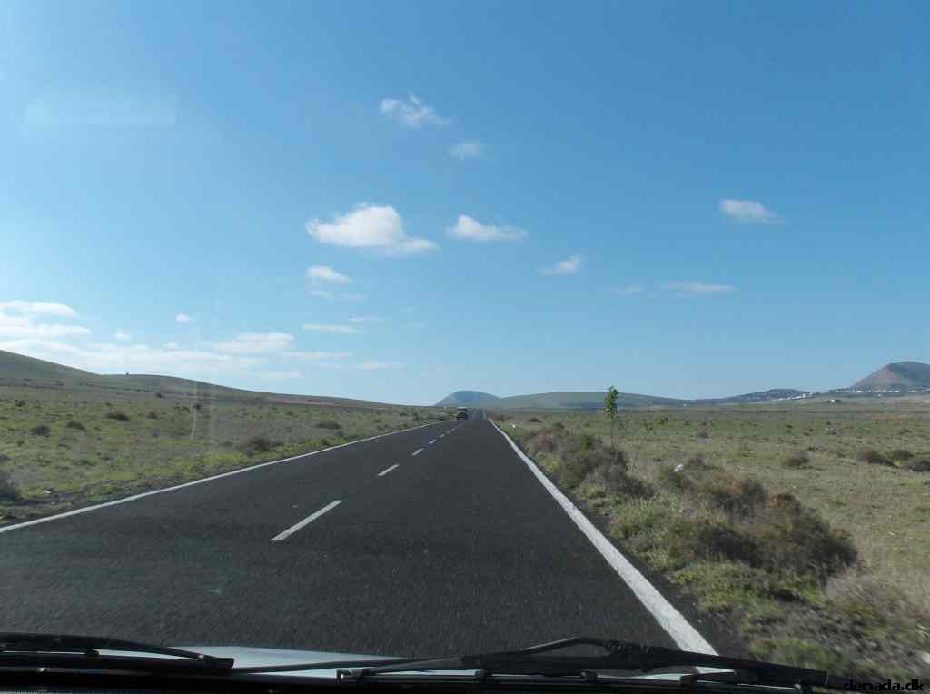 * Image 204