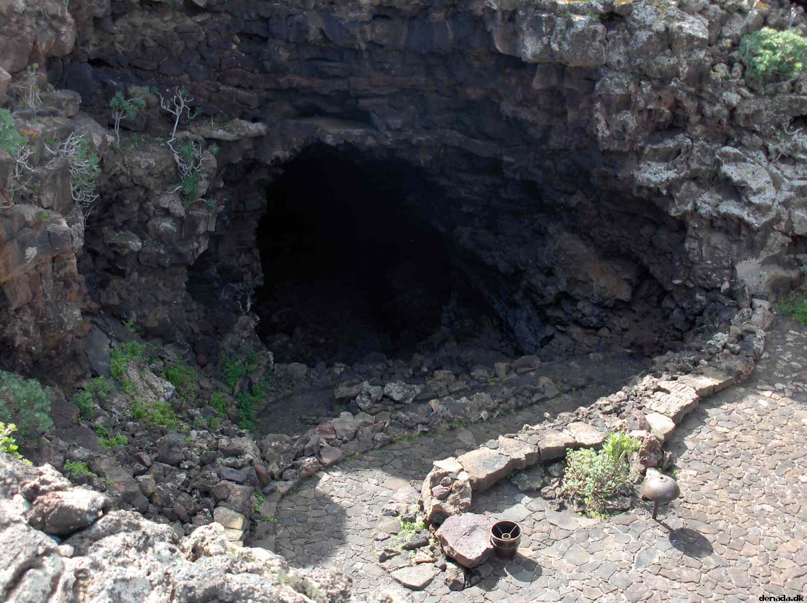 * Image 208