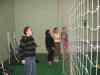 Billede_015.jpg - 2006:01:31 21:10:31