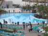 Billede_065.jpg - 2006:01:31 09:08:15