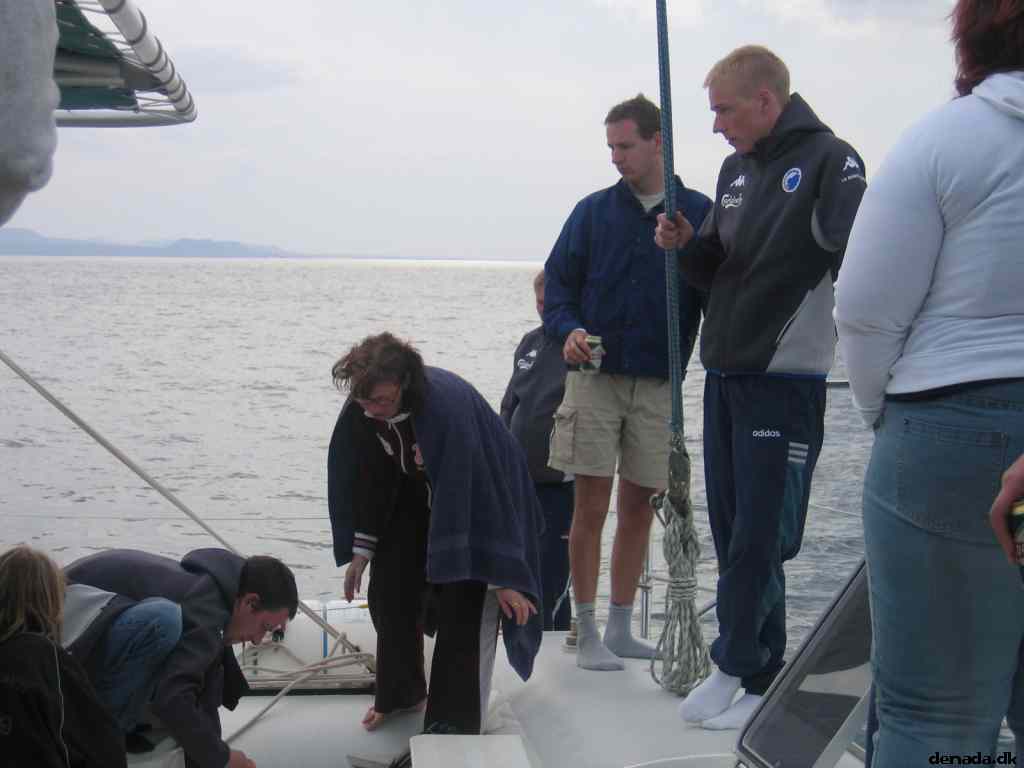 * Image 22