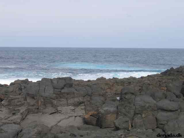* Image 11