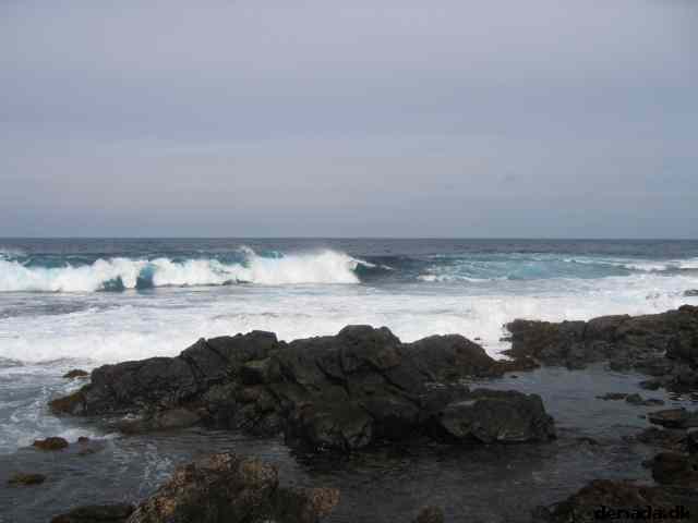* Image 13