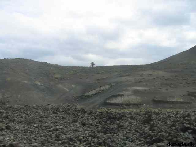 * Image 14