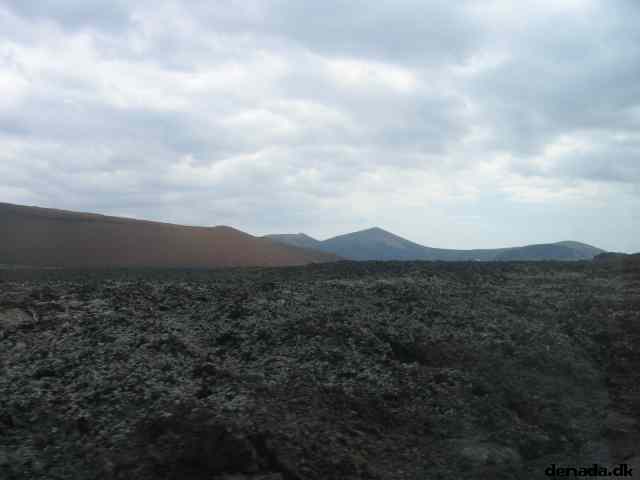 * Image 15