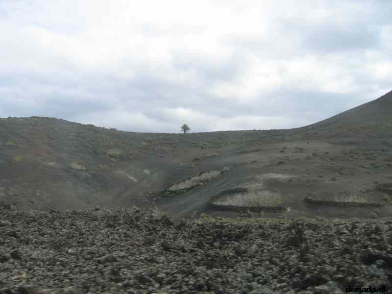 * Image 14