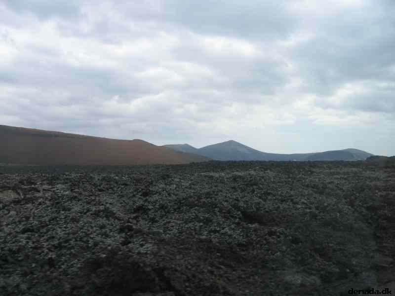 * Image 15