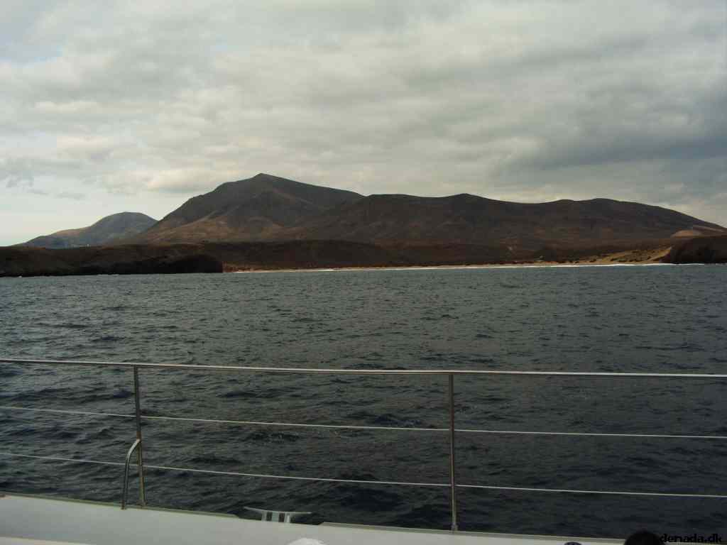 * Image 91