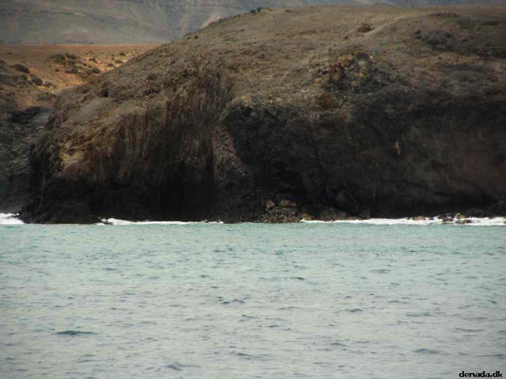 * Image 99