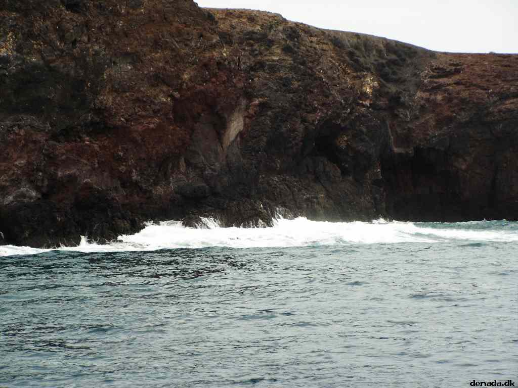 * Image 101