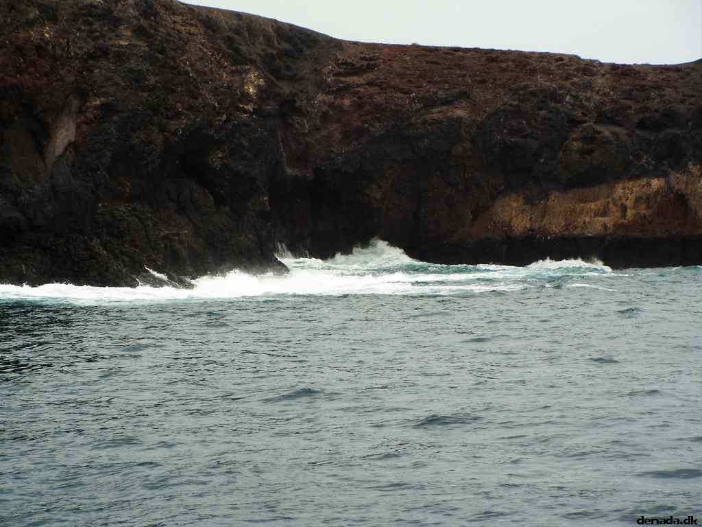 * Image 102