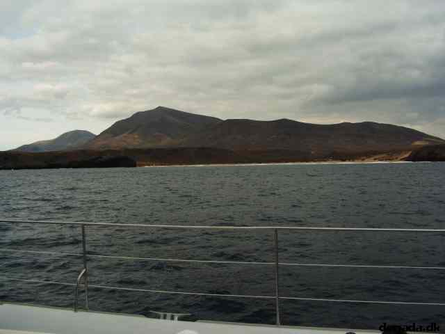 * Image 91