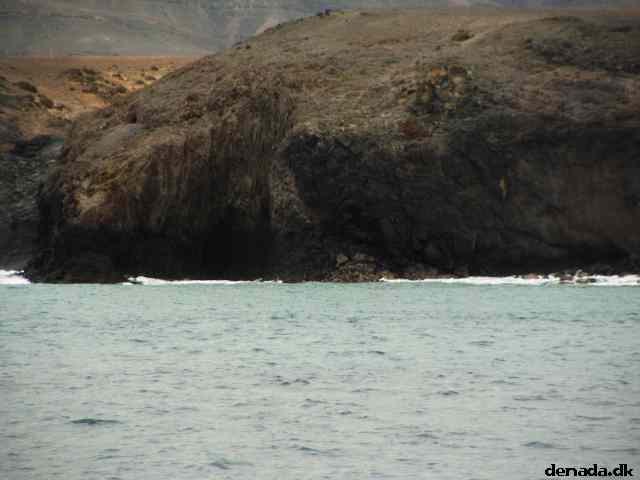 * Image 99