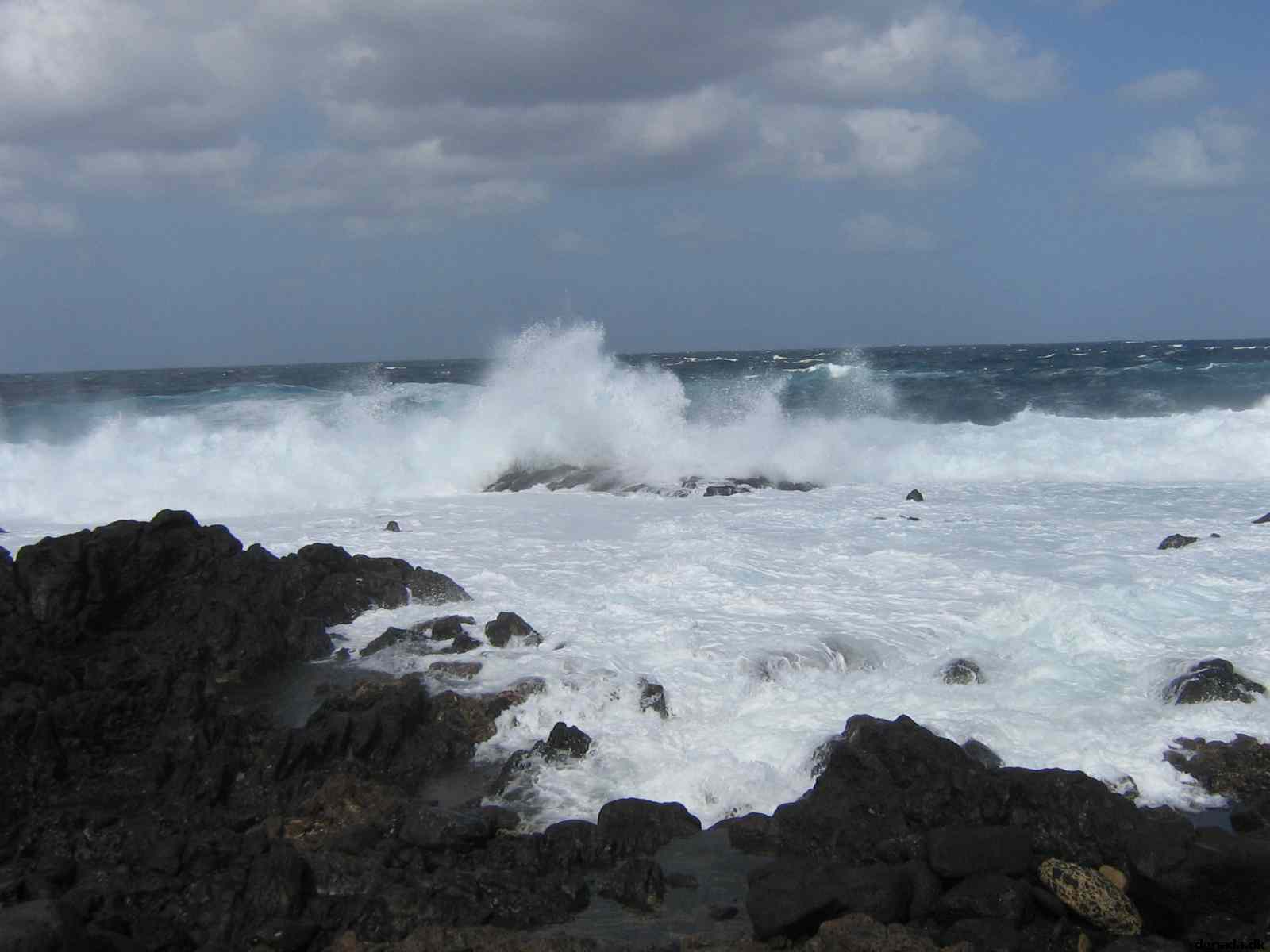 * Image 1