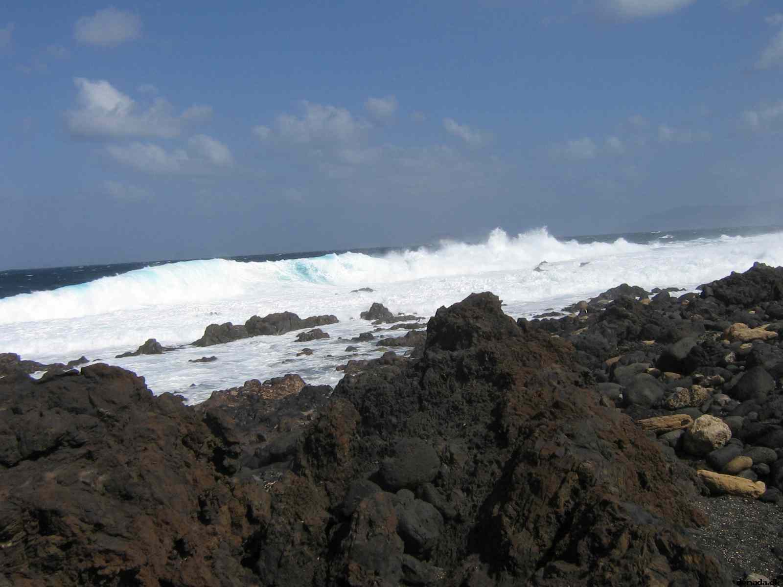 * Image 3