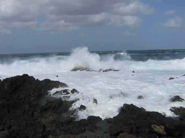 * Image 1