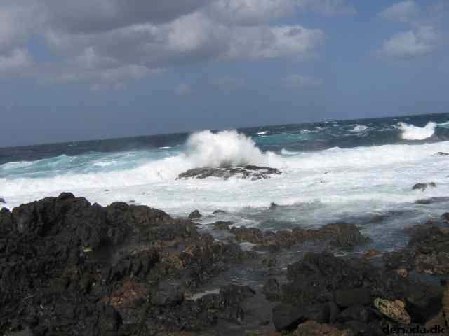 * Image 2