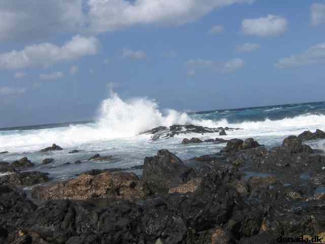 * Image 4