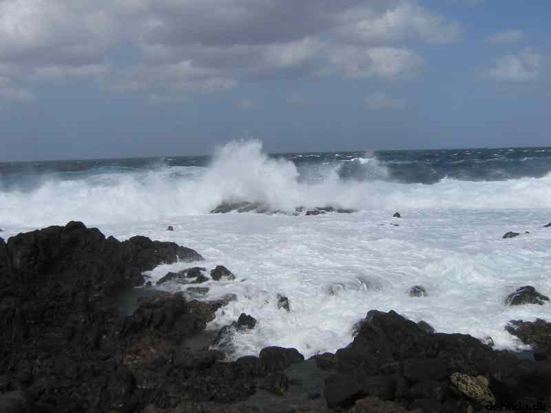 * Image 1