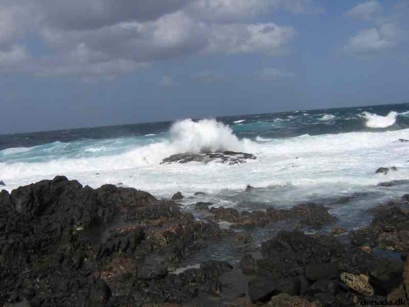 * Image 2