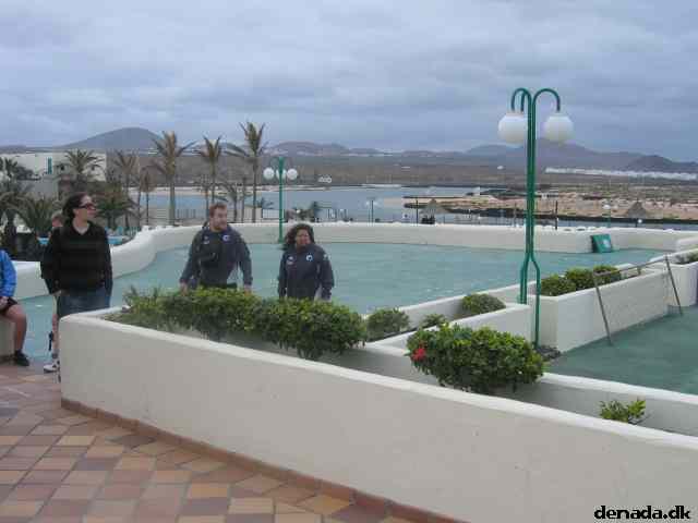 * Image 14