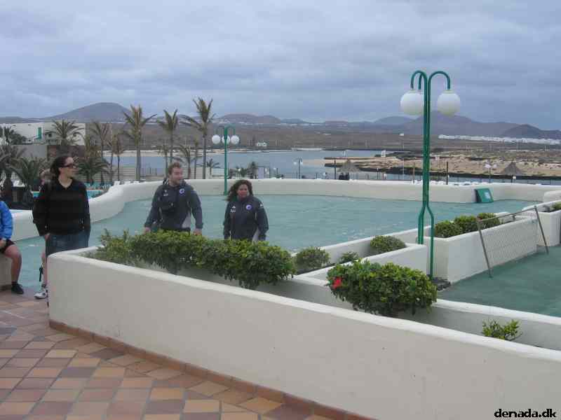 * Image 14