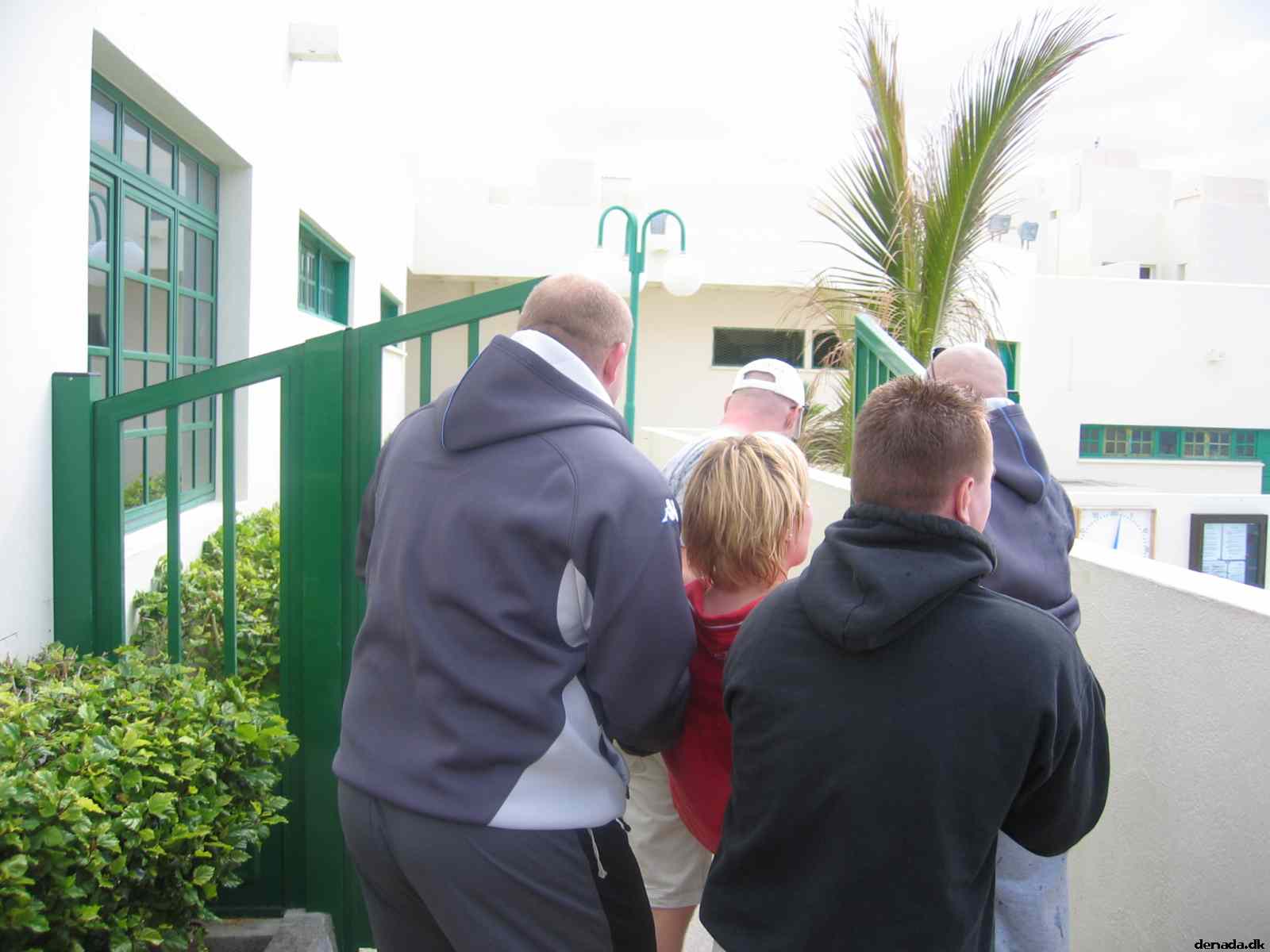 * Image 31